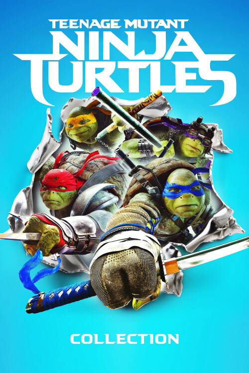 Teenage-Mutant-Ninja-Turtles-Remake-Collection-poster.jpg