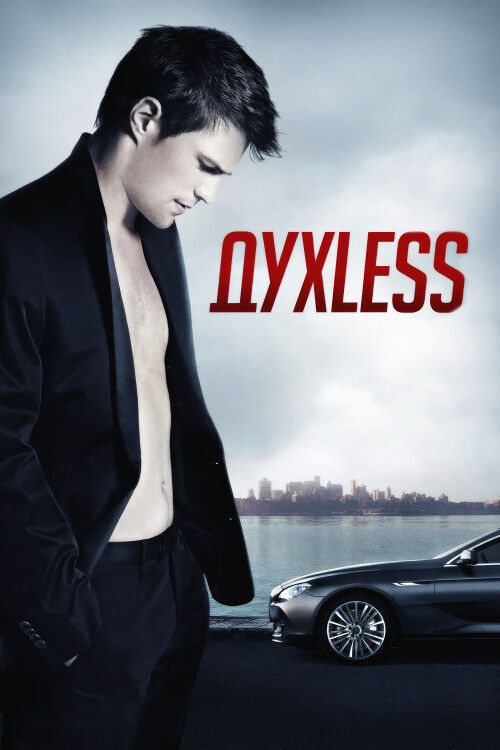DUKless-2011-FHD-poster.jpg