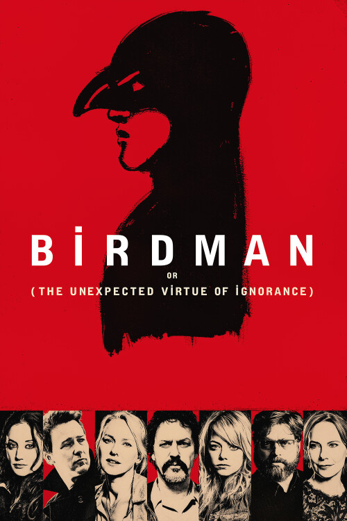 Birdman-or-The-Unexpected-Virtue-of-Ignorance-2014-FHD-poster.jpg