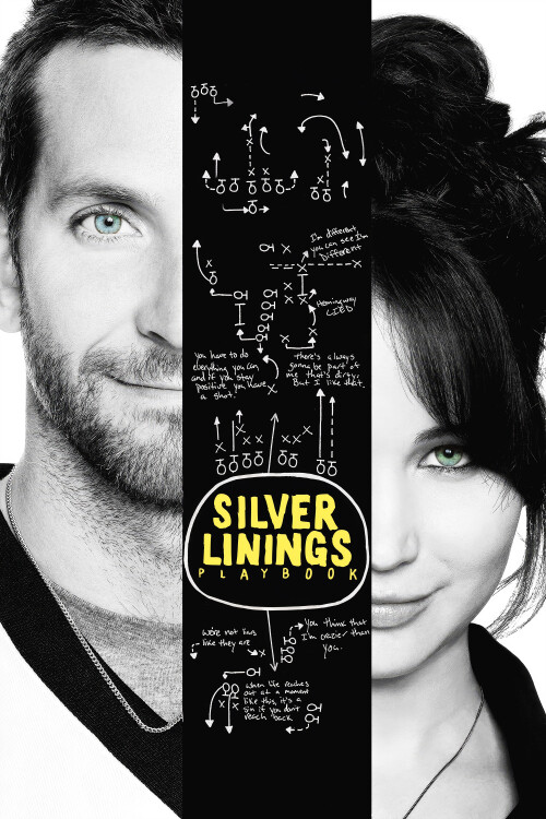 Silver-Linings-Playbook-2012-FHD-poster.jpg